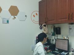 -美联众合动物医院·24h转诊中心