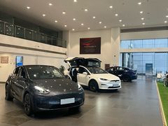 -TESLA 特斯拉(北京南四环中路特斯拉中心)