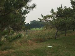 -龙熙温泉高尔夫俱乐部