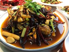 -杨氏青龙虾·羊蝎子(金盛路总店)