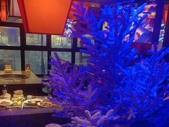-营信刘罗锅铁锅炖(建华店)