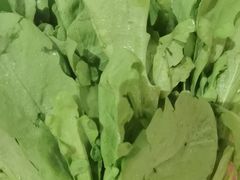-蝎王府羊蝎子(西直门店)