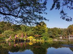 -杭州植物园