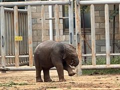 -石家庄市动物园