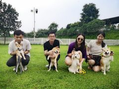 -良成狗狗乐园