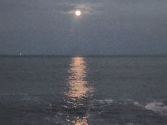 -日照灯塔风景区