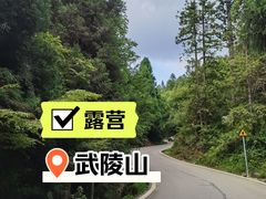 -武陵山森林公园