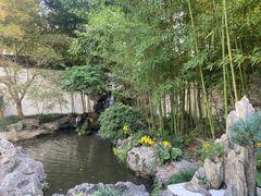 -上海醉白池公园