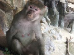 -灵玲国际马戏城