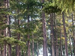 -长春市南湖公园