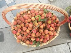 -至潮餐厅精致粤菜·活鲈鱼·走地鸡(珠江新城店)