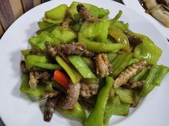 -华春餐馆(鱼山路店)