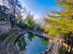 -九华山风景区