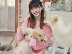 -共舞时光猫咖·狗咖(新街口店)