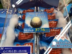 -富士山吉田線五合目