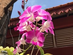 -柬埔寨国家博物馆