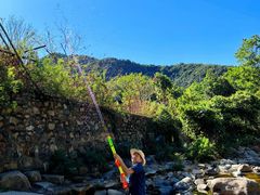 -北仑森林植物园