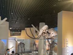 -国家自然博物馆