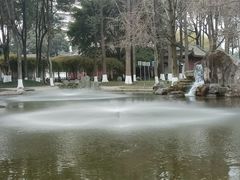 -温江公园