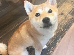 -三目仓咖啡(贤南路店)