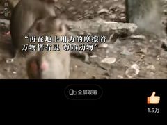 -昆明动物园
