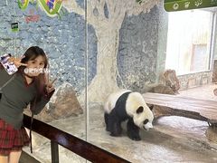 -海南热带野生动植物园