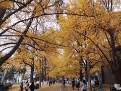 -四川大学(华西校区)