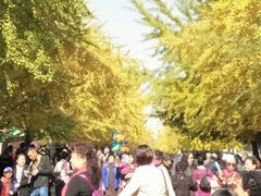 -辽宁大学(崇山校区)