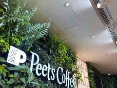 -Peet's Coffee皮爷咖啡(德基店)