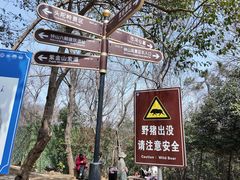 -紫金山山顶公园