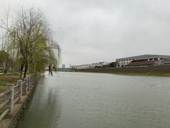 -九里河湿地公园