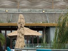 -火福·天湖阁大闸蟹博物馆主题餐厅(浅水湾店)