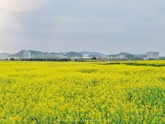 -光明小镇欢乐田园
