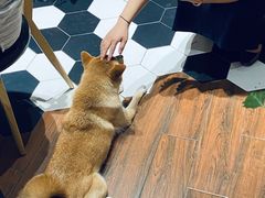 -About Bistro關於·泰式家庭料理