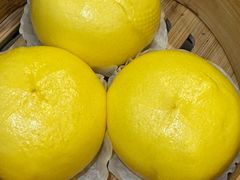 -金鼎轩(方庄天坛店)
