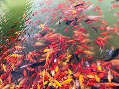 -泰安地下龙宫景区