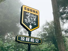 -南岳衡山风景名胜区