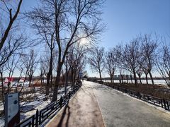 -大兴滨河森林公园