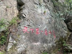 -王顺山国家森林公园