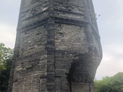 -上海佘山国家森林公园天马山园