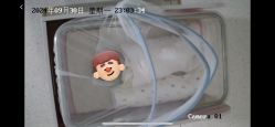 -致友月子会所(麓湖店)