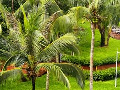 -三亚海棠湾万丽度假酒店