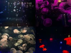 -南昌融创海世界
