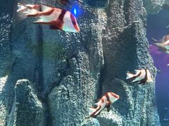 -福州罗源湾海洋世界旅游区