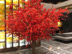 -上海新国际博览中心美仑酒店