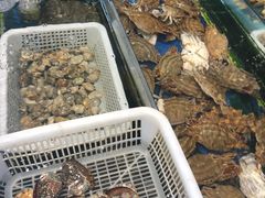 -侬佳蒸菜馆(听潮店)