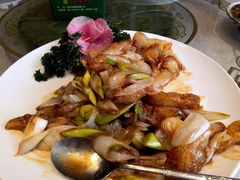 葱烧蹄筋-蓬莱春(芝罘店)