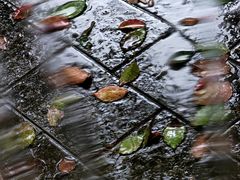 -西郊宾馆·1921餐厅