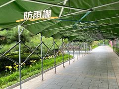 -南宫五洲植物乐园