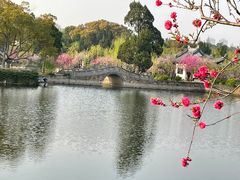 -无锡蠡湖国家湿地公园-蠡园